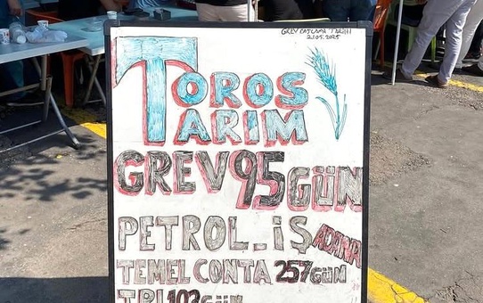 Toros Tarım İşçileri 95 Gündür Grevde