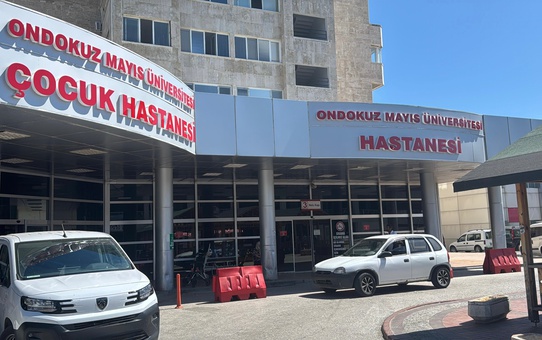 Çocuk Suçluluğuna Rehabilitasyon Önerisi