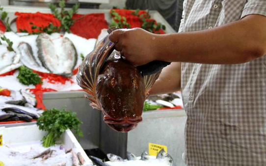 Çarşamba'da Av Yasağı Sona Erdi