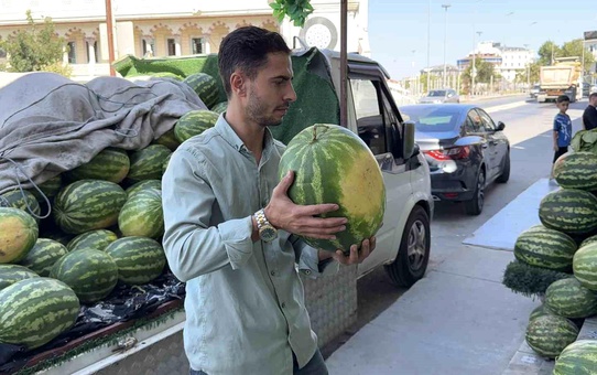 İstanbul'da Hırsız Karpuzları Çaldı
