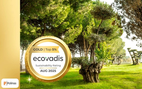 Polinas, EcoVadis'ten Altın Madalya Aldı