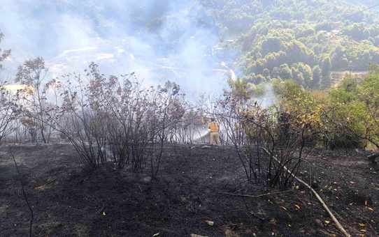 Zonguldak'ta Orman Yangını Kontrol Altına Alındı