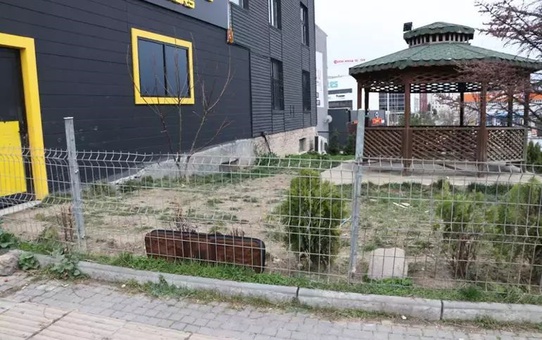 Köpeklere ekmek verme yüzünden cinayet