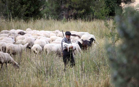 Burdur'da Çobanlık Geleneği Sürüyor