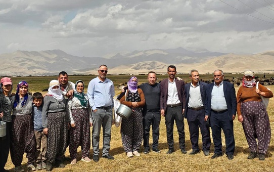 Yüksekova'da Şap Hastalığı Kontrol Altına Alındı