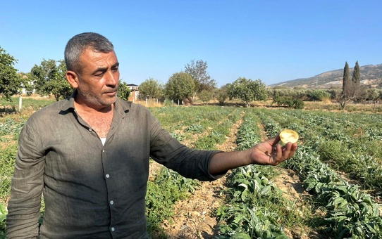 Aydın Enginarı için Sanayileşme Çağrısı