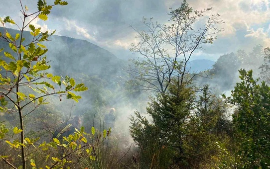 Sinop'un Türkeli İlçesinde Yangın Kontrol Altına Alındı