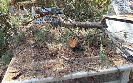 Buca Mezarlığı'ndaki Ağaç Budama Çalışmaları Mezarlara Zarar Verdi