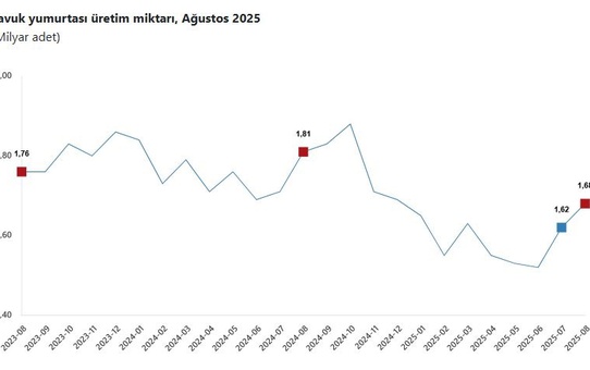 TÜİK: Ağustos'ta Tavuk Eti Azaldı, Süt ve Yumurta Üretimi Arttı