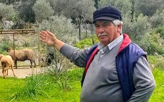 Dalaman'da Av Kazası: Bir Kişi Hayatını Kaybetti