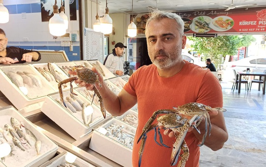 İskenderun'da Jumbo Karides Fiyatları Düşüyor