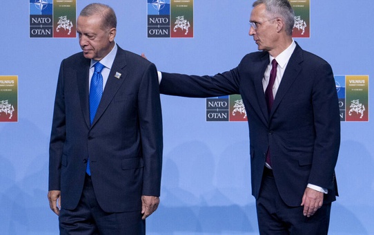 Stoltenberg'in unutamadığı mısır anısı Cumhurbaşkanı Erdoğan'a soruldu