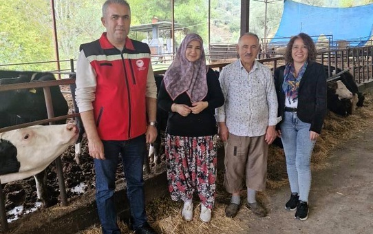 Kadın Çiftçi Süt Sığırcılığına Adım Attı