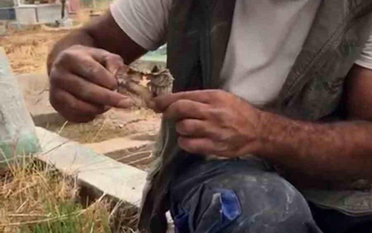 Mezarlıkta kan donduran manzara! Bulur bulmaz yaktı
