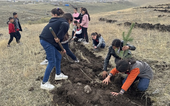 Sigarayı Bıraktı, Ağaçlandırma Projesi Başlattı