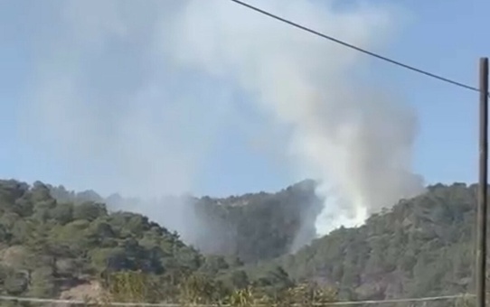 Muğla'da Orman Yangını