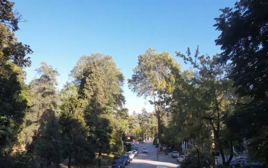 Atatürk Arboretumu: Türkiye'nin İlk Canlı Ağaç Müzesi