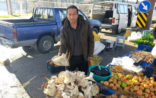 Bin 800 rakımlı yayladan toplayıp getiriyor, gören almadan geçmiyor