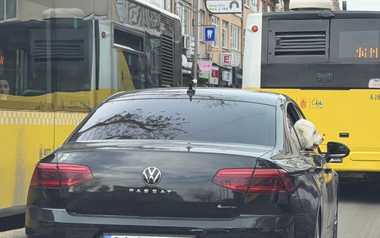 Üsküdar'da yeni başkan eski başkanın makam aracını köpeğine tahsis etti iddiası