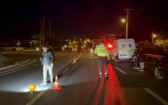 Gazipaşa'da Kamyonet Çarpması: 61 Yaşındaki Adam Hayatını Kaybetti