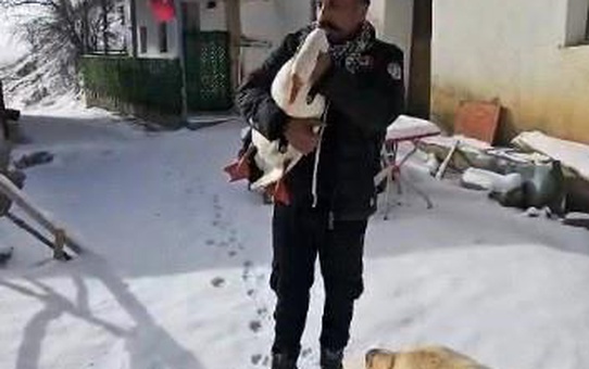 Kazdan Helallik İsteyen Baki Kaya