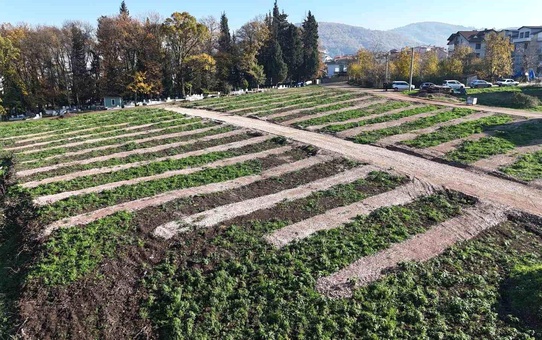 Gölcük'e yeni mezarlık alanları hazırlandı