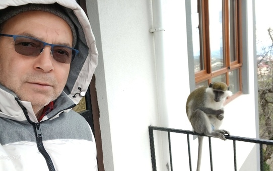 Giresun'da Kaçan Maymun, Evdeki Adamla Oynadı