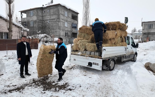 Muş'ta Terk Edilen Hayvanlara Destek!