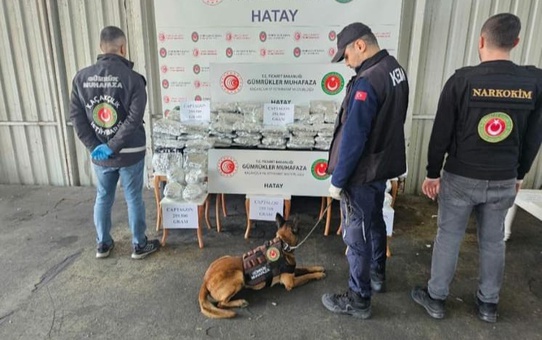 İskenderun Limanı'nda dev uyuşturucu operasyonu, piyasa değeri tam 560 milyon TL