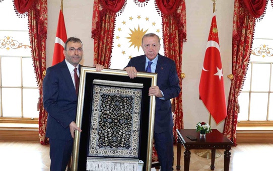 Cumhurbaşkanı Erdoğan Pendik Belediye Başkanı Ahmet Cin'i kabul etti