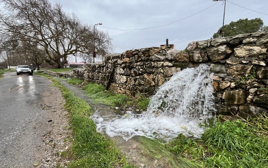 Uzun yıllardır böylesi yaşanmıyor! Taşların arasından fışkırdı