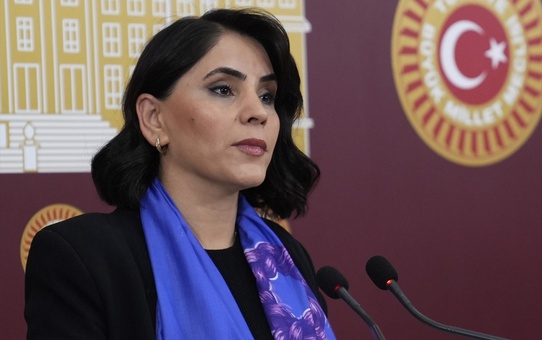 DEM Parti Milletvekillerinden Meclis'te Basın Toplantısı