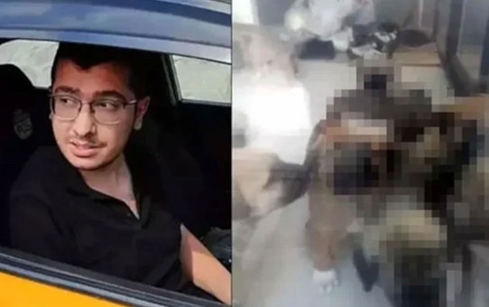 Köpeklere yaptıkları kan dondurmuştu! Sapık doktorun cezası düşürüldü