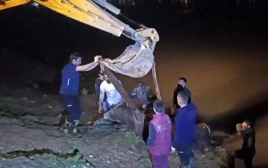 Dicle Nehri'ne düşen ineği itfaiye iş makinesiyle kurtardı