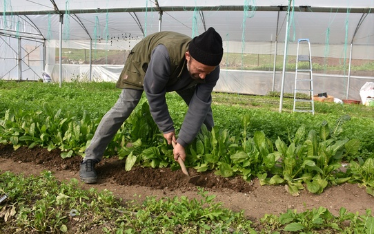 Sera ile Aile Geçimini Sağlıyor