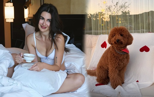 Nesrin Cavadzade’den köpeği Dolce'ye doğum günü partisi