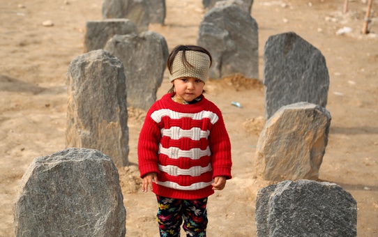 Roberts-Smith Kefaletle Serbest