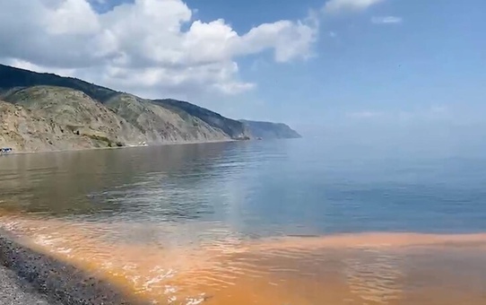 Marmara'da deniz suyundaki renk değişiminin altından planktonlar çıktı