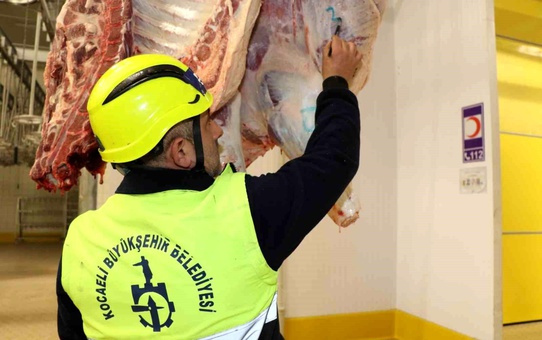 'Kistli organları çöpe atmayın, kedi ve köpeğe yedirmeyin' uyarısı