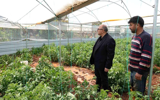 Mersin'de dolu, sebze tarlaları ve meyve bahçelerine zarar verdi