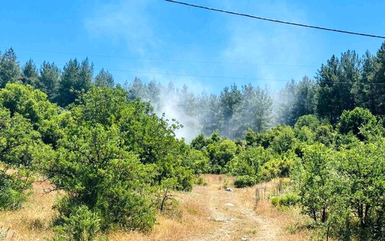 Muğla'da Orman Yangını Kontrol Altına Alındı