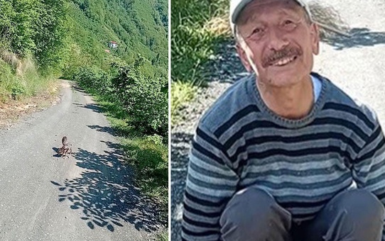 Yolda yürürken gördü, mutluluğu yüzüne yansıdı: Arçil ve Şota adını verdi