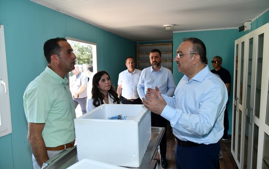 Tekirdağ'da Sahipsiz Hayvan Alanı İncelemesi