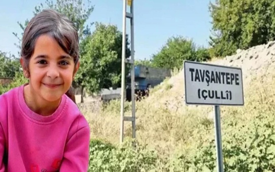 Narin'in köyünde ara seçim: Yeni muhtar belli oldu