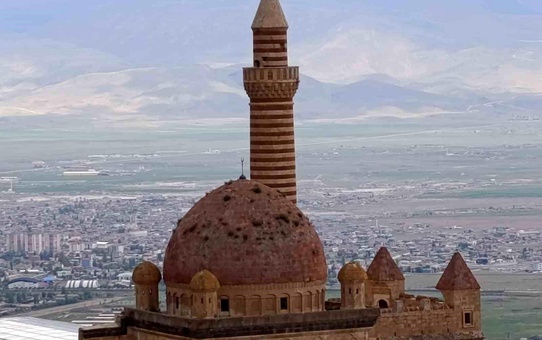 İshakpaşa Sarayı'nda Bitki Endişesi