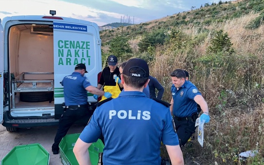 Gebze'de Ormanlık Alanda Erkek Cesedi Bulundu