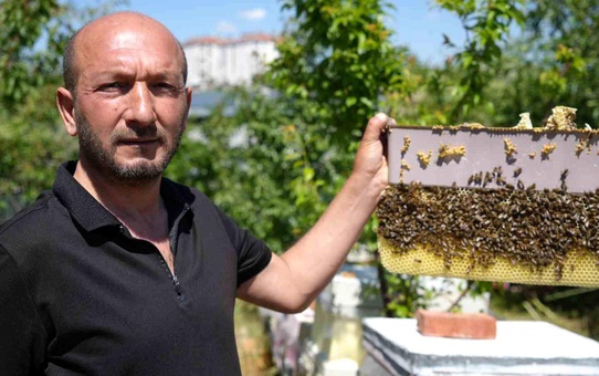Arılara Fısıldayan Adam: Murat Atalay