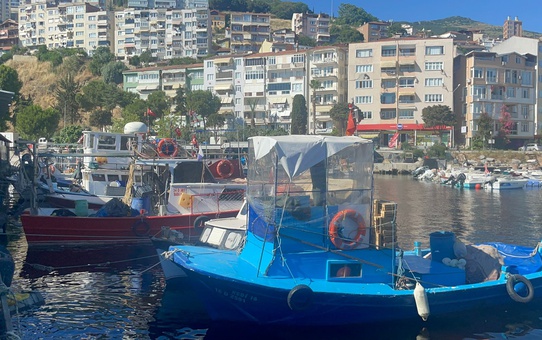 Marmara Denizi'nde Alg Patlaması Endişesi