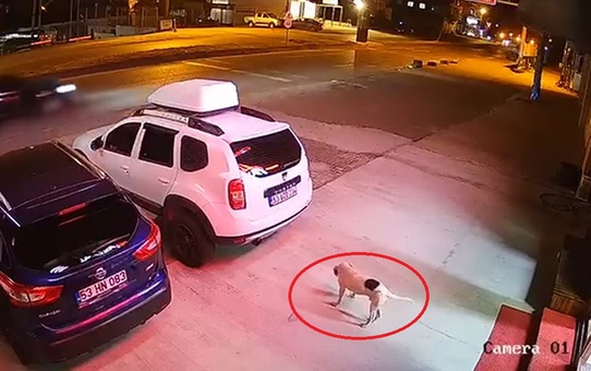 ATV Kazası: Orhan Kara Hayatını Kaybetti