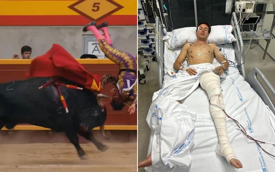 Boğanın hedefi olan genç matador ölümle pençeleşiyor